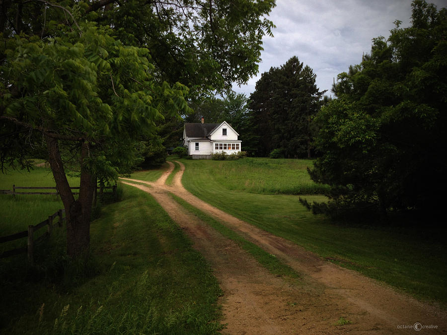 Rural Neighbor Photograph by Tim Nyberg