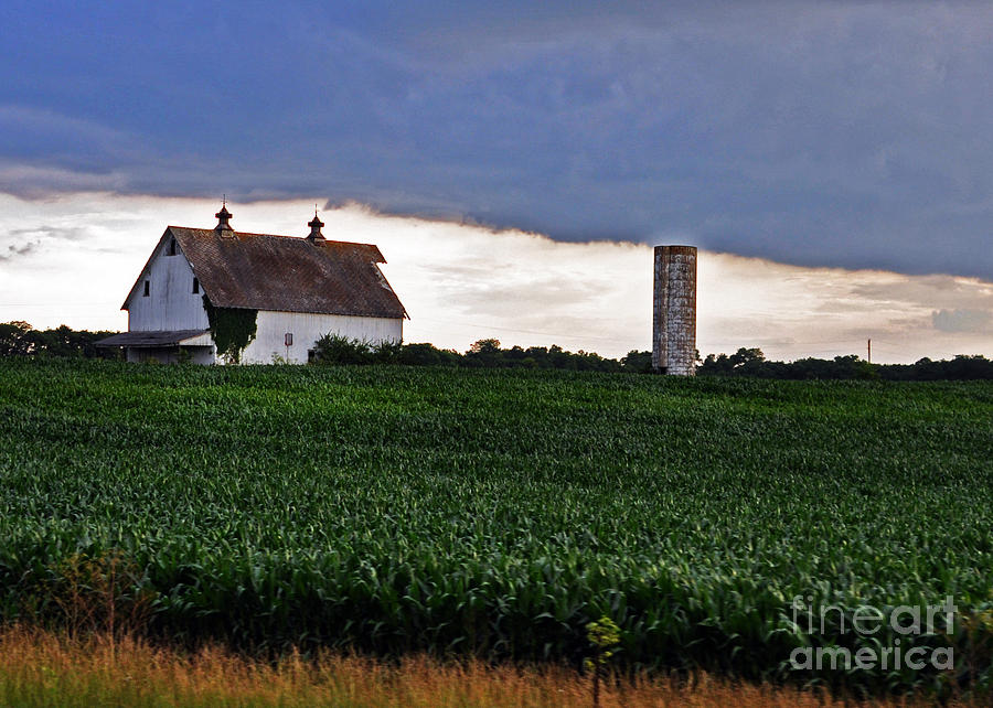 Barn Photograph - Rural Ohio by Lydia Holly
