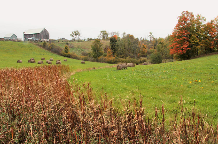 Rural Ontario Landscape Photograph by Jim Vance