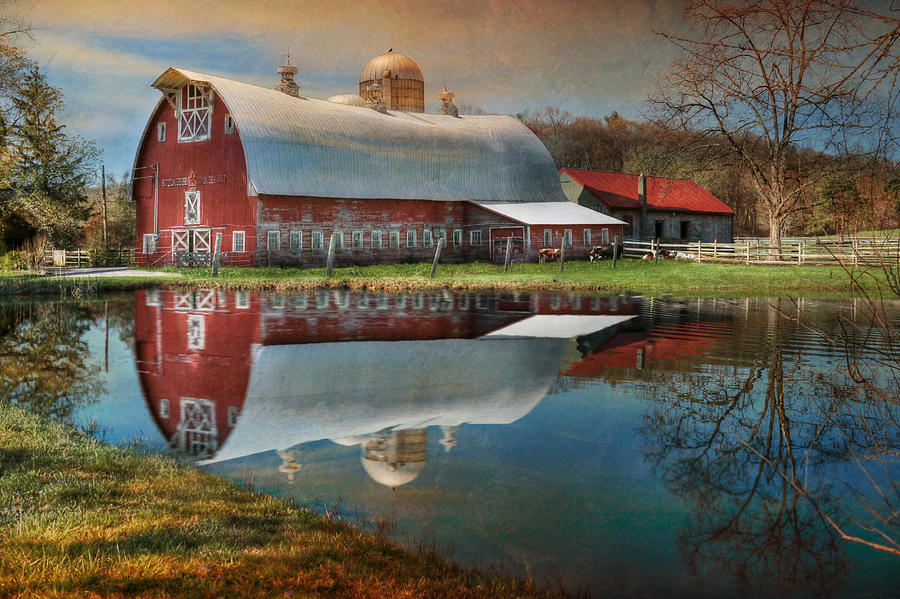 Barn Photograph - Rural Reflections by Lori Deiter
