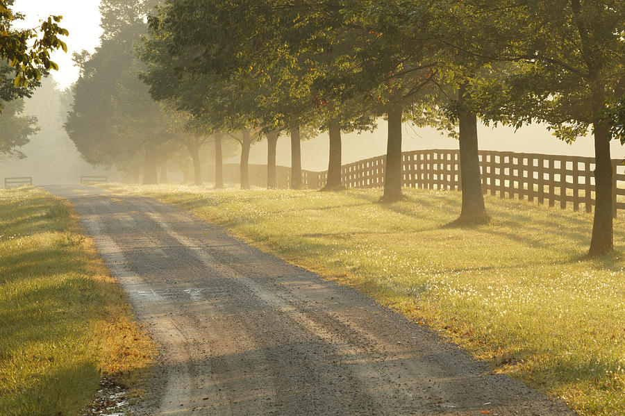 Rural road and fence on horse farm at sunrise Photograph by Adam Jones