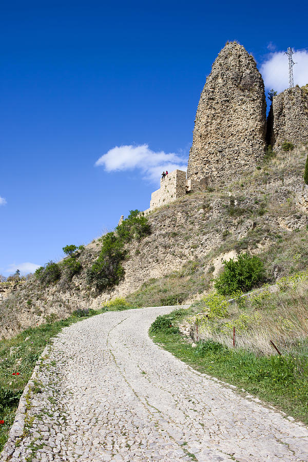 Nature Photograph - Rural Road in Andalusia by Artur Bogacki