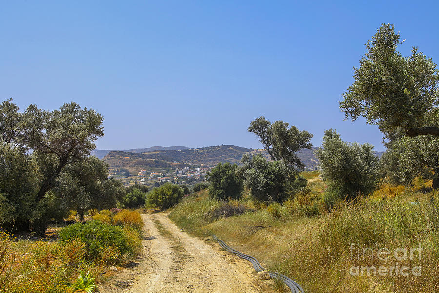 Rural road in Crete Photograph by Patricia Hofmeester