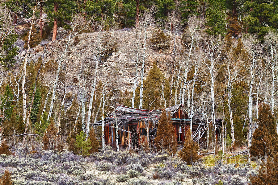 Rural Rustic Rundown Rocky Mountain Cabin Photograph by James BO Insogna