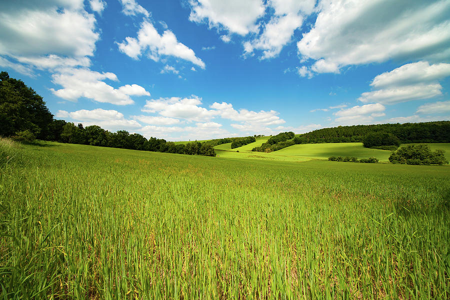 Rural Scene By Wladimir Bulgar Science Photo Library