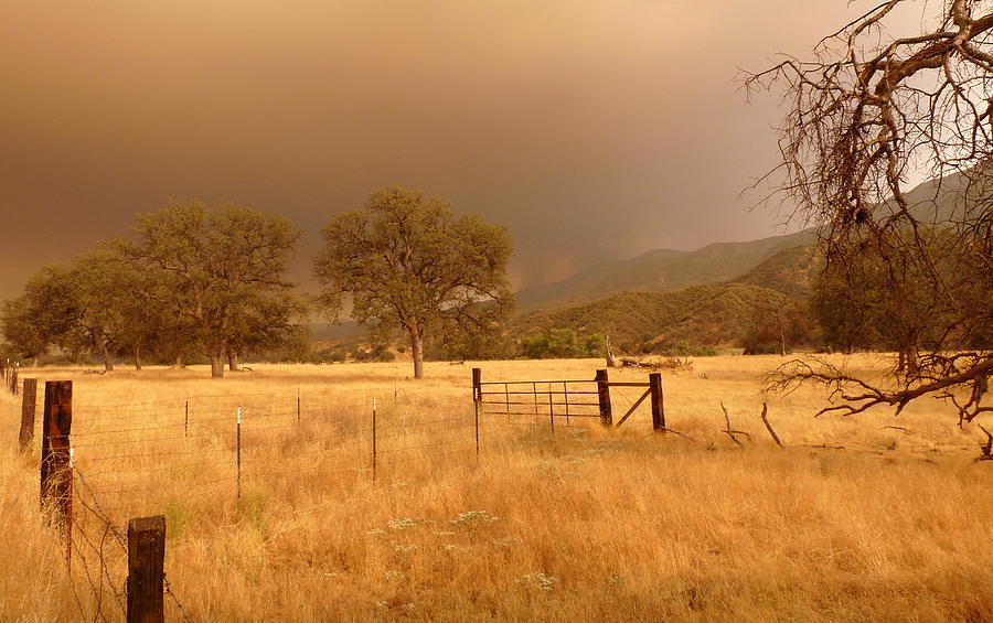 Rural Scenic Fire And Smoke Photograph by Jeff Lowe