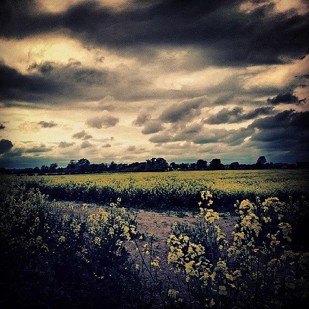 Nature Photograph - #rural #sky #skyscape #skyporn by Vicki Field