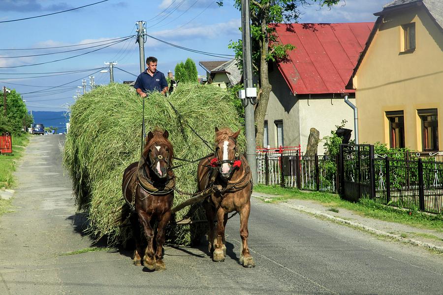 Rural Slovakia Photograph by Photostock-israel