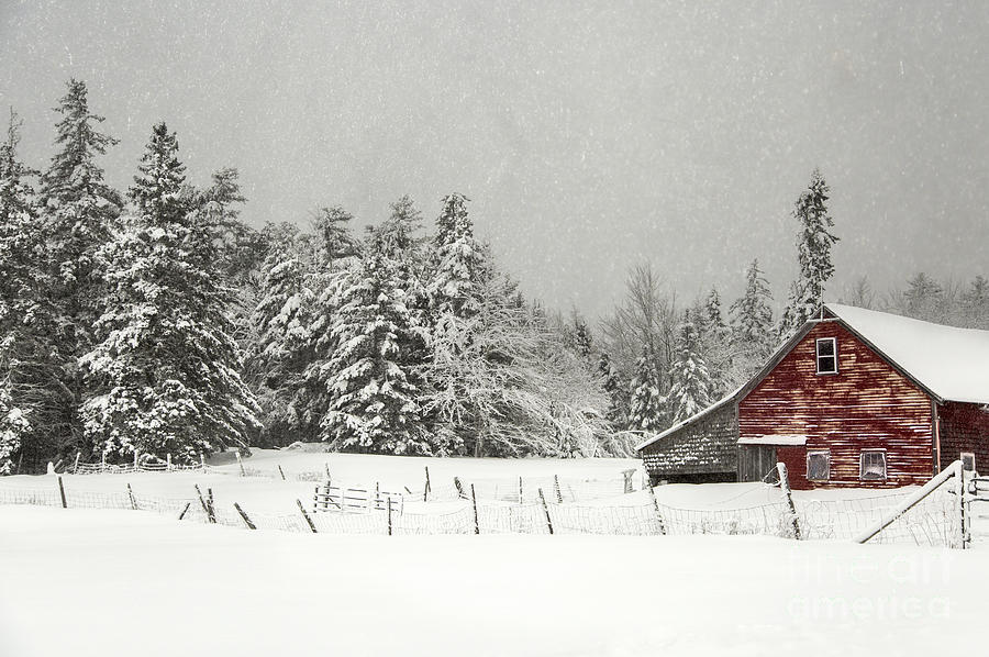 Rural Snow Photograph by Karin Pinkham