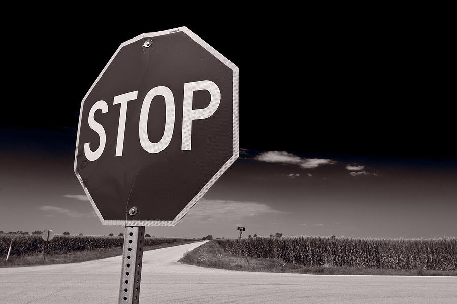 Sign Photograph - Rural Stop Sign BW by Steve Gadomski