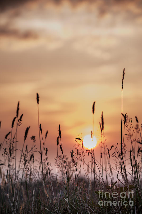 Sunset Photograph - Rural Sunset by Jan Bickerton