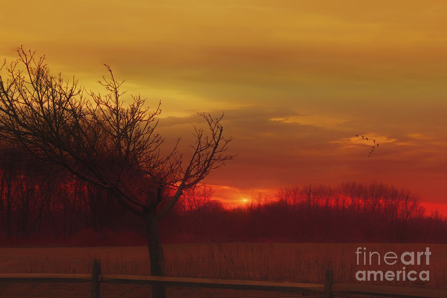Sunset Photograph - Rural Sunset by Tomas Images