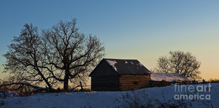 Rural Twilight... Photograph by Nina Stavlund