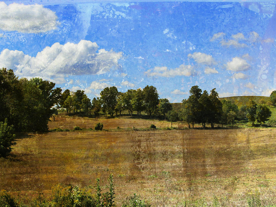 Rural WI Field w texture Digital Art by Anita Burgermeister