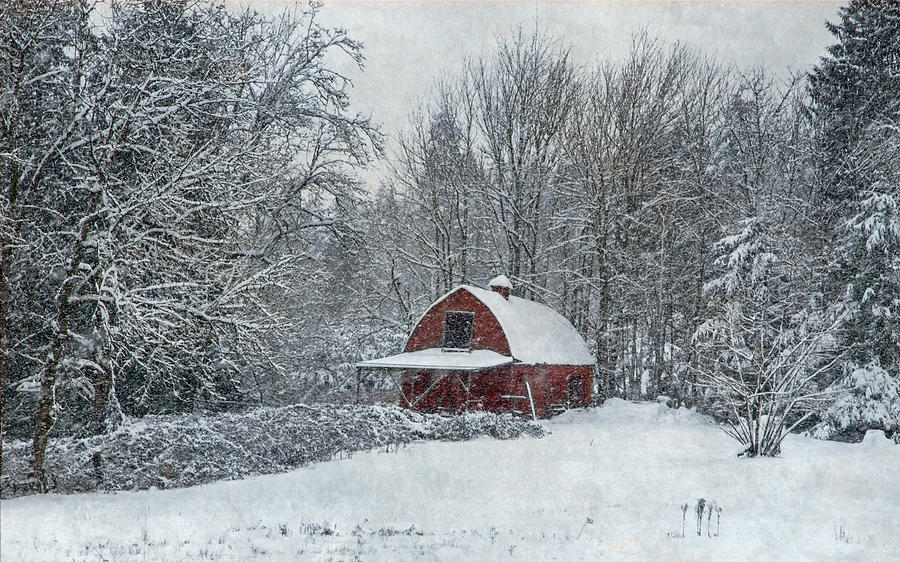 Rural Winter Photograph by Angie Vogel