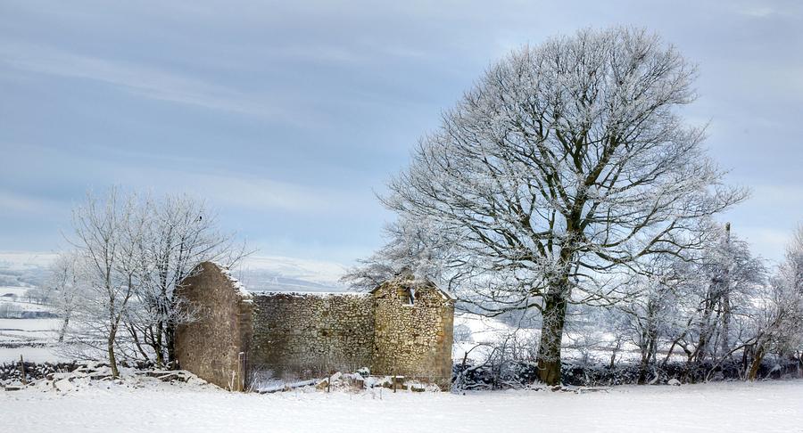 Rural Winter Photograph by David Birchall