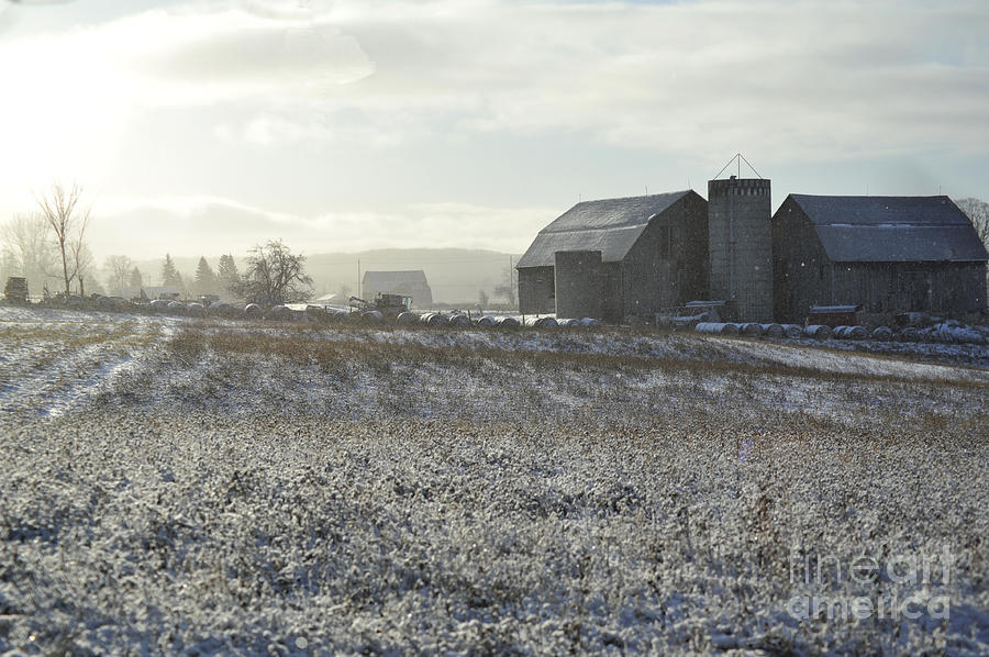 Farm Photograph - Rural Winter Scene by Elaine Mikkelstrup
