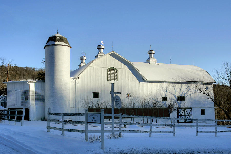Rural Winter Whites and Blues Photograph by Gene Walls