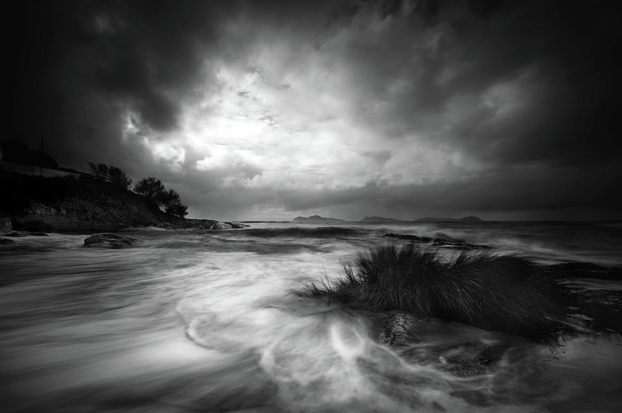Black And White Photograph - Rushes In The Sea by Santiago Pascual Buye