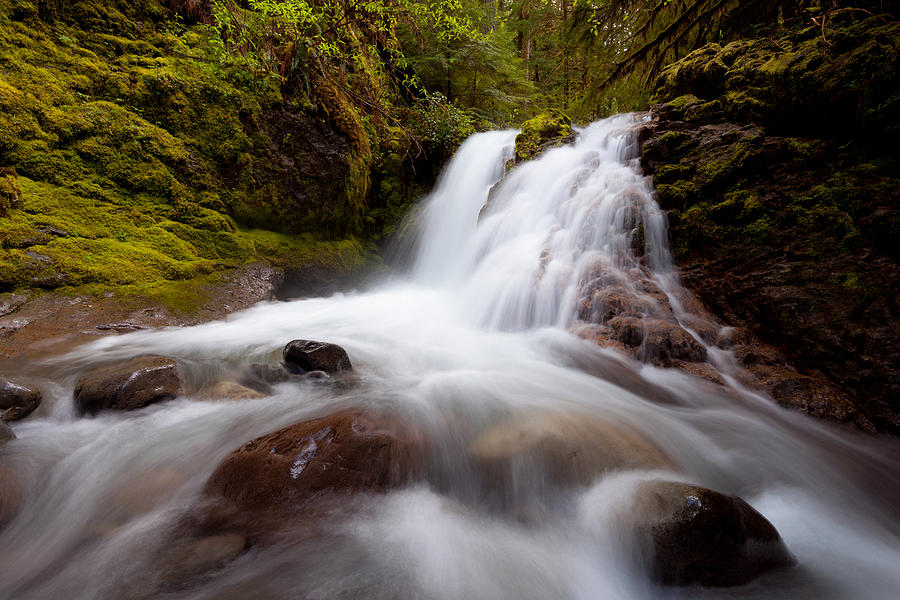 Rushing Cascades Photograph by Andrew Kumler