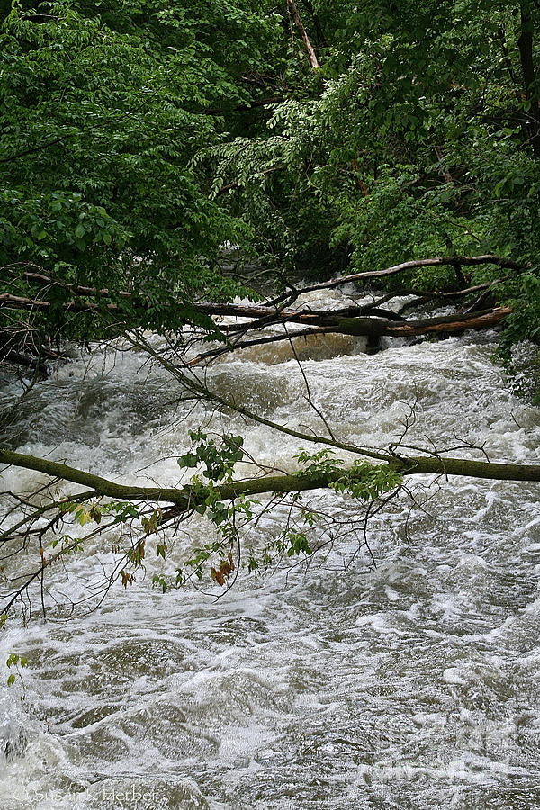Rushing Creek Photograph by Susan Herber