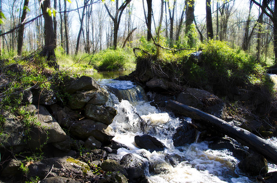 Spring Photograph - Rushing Waters by Bill Cannon