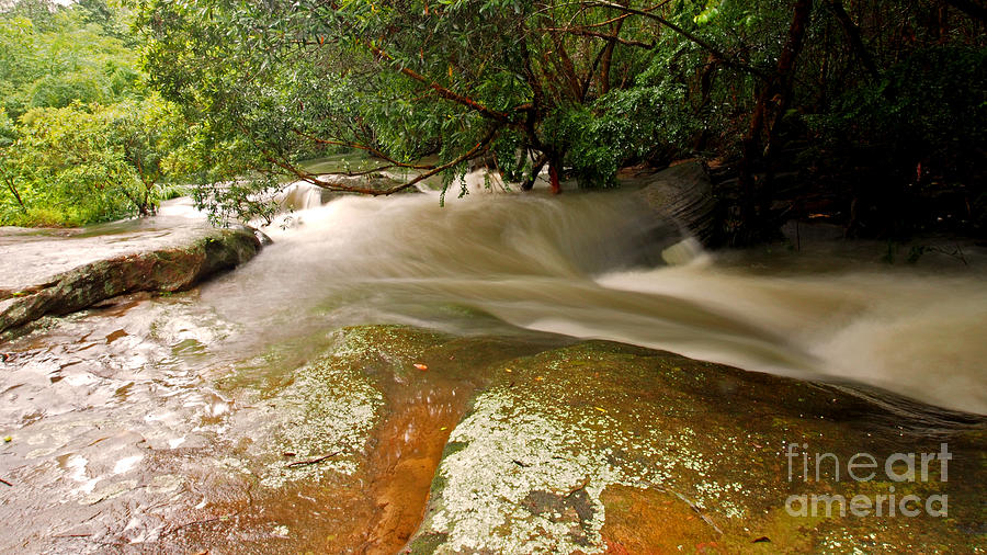 Nature Photograph - Rushing Waters in a Rocky Creek by Kaleidoscopik Photography