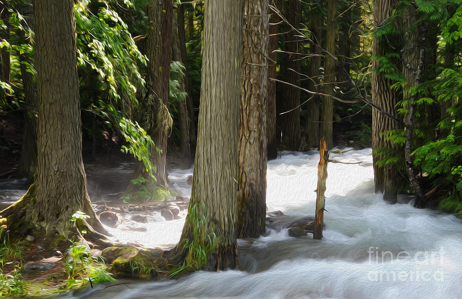 Tree Photograph - Rushing Waters by John Devlin