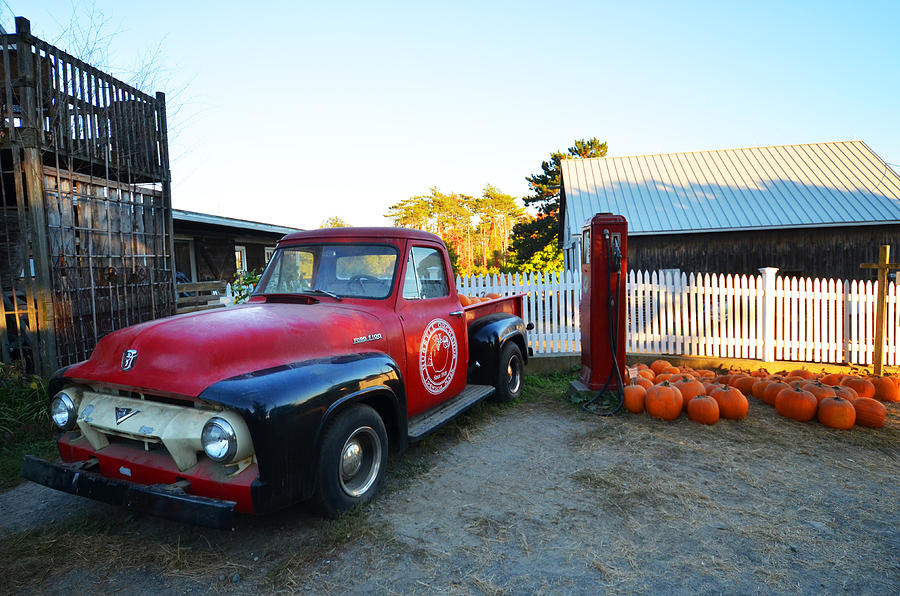 Russel Farms 1951 Ford F100 Photograph by Toby McGuire