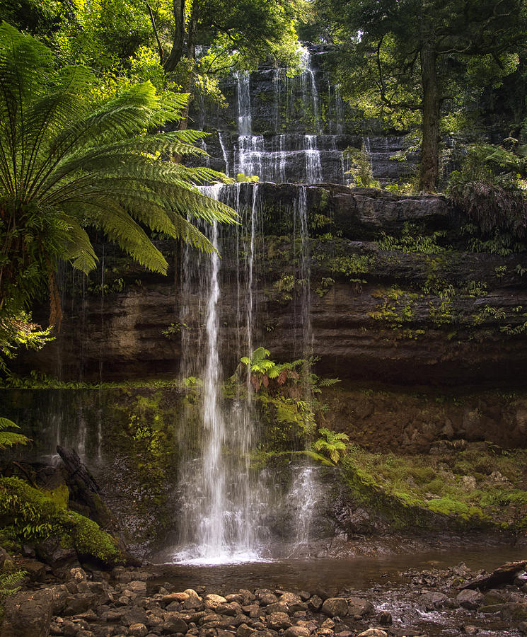 Russell Falls Photograph by Kim Andelkovic - Fine Art America