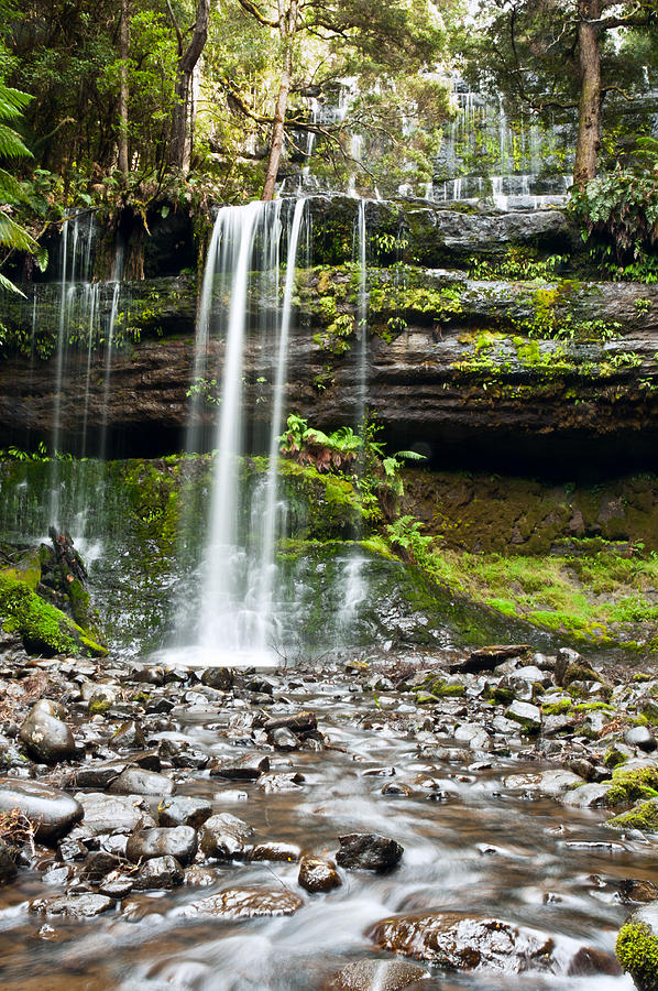 Nature Photograph - Russell Falls by U Schade
