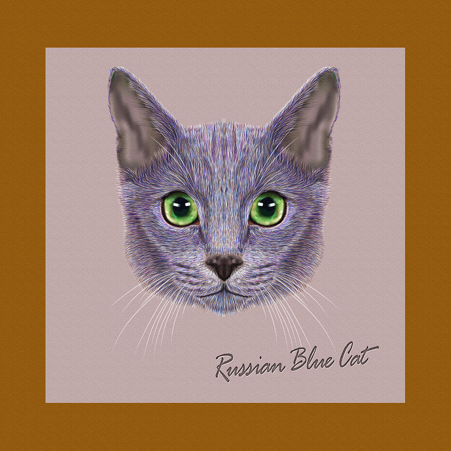 Русская голубая кошка рисунок