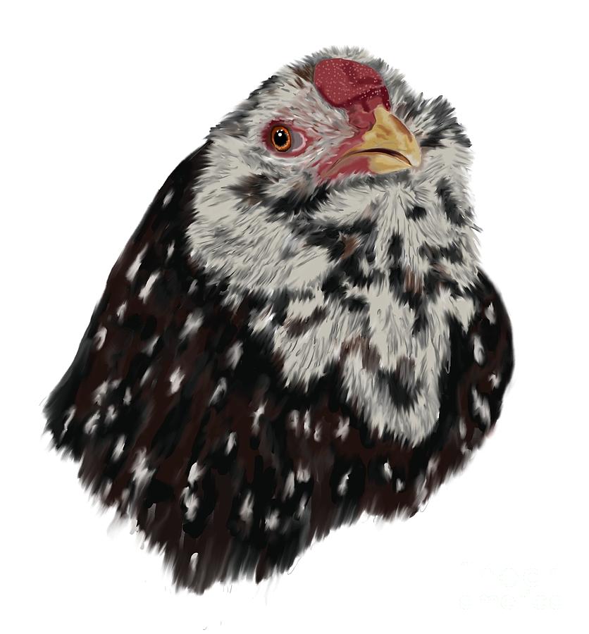 Chicken Digital Art - Russian Orloff Rooster by Leigh Schilling