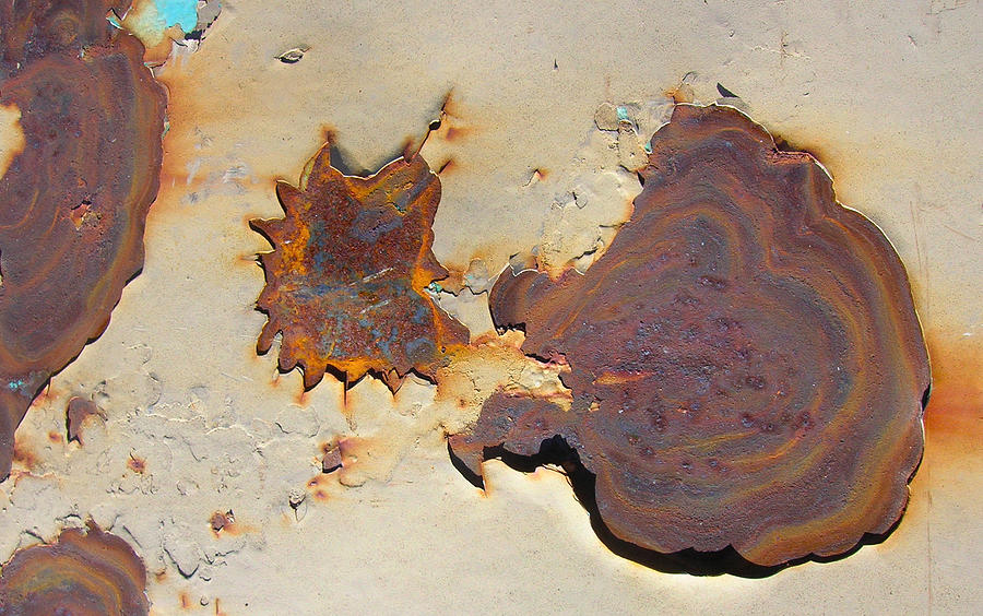 Abstract Painting - Rust #1 by Susan Porter