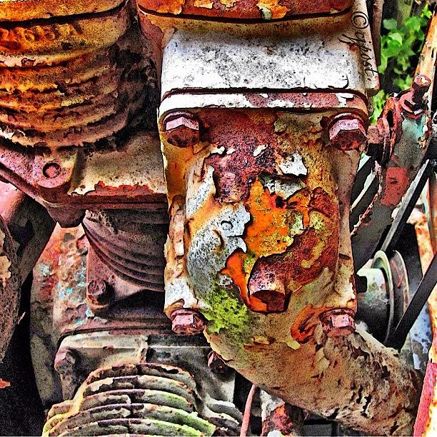 Lichen Photograph - Rust And Paint Chips #rustythursday by Cynthia Post