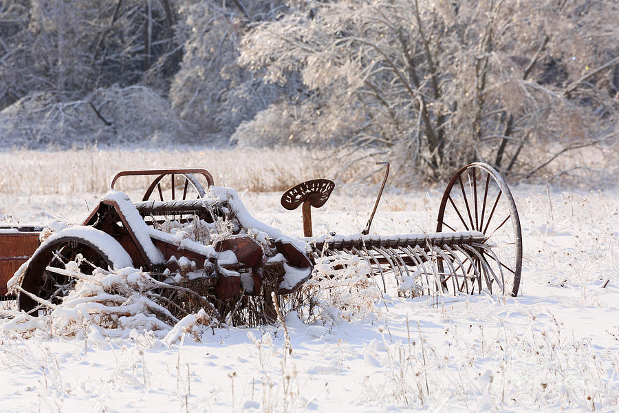 Rust and Snow Photograph by Louise Heusinkveld