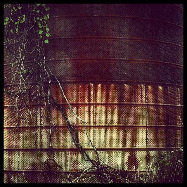 Tank Photograph - Old Red Jug by Milk R