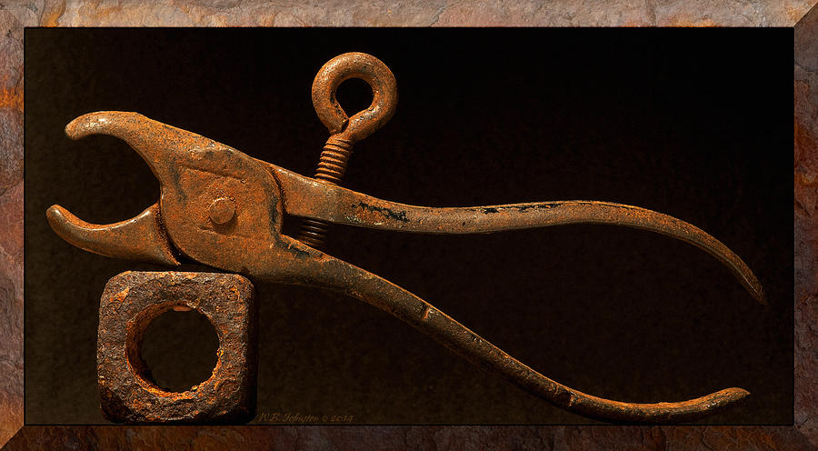 Rust Pliers Photograph by WB Johnston