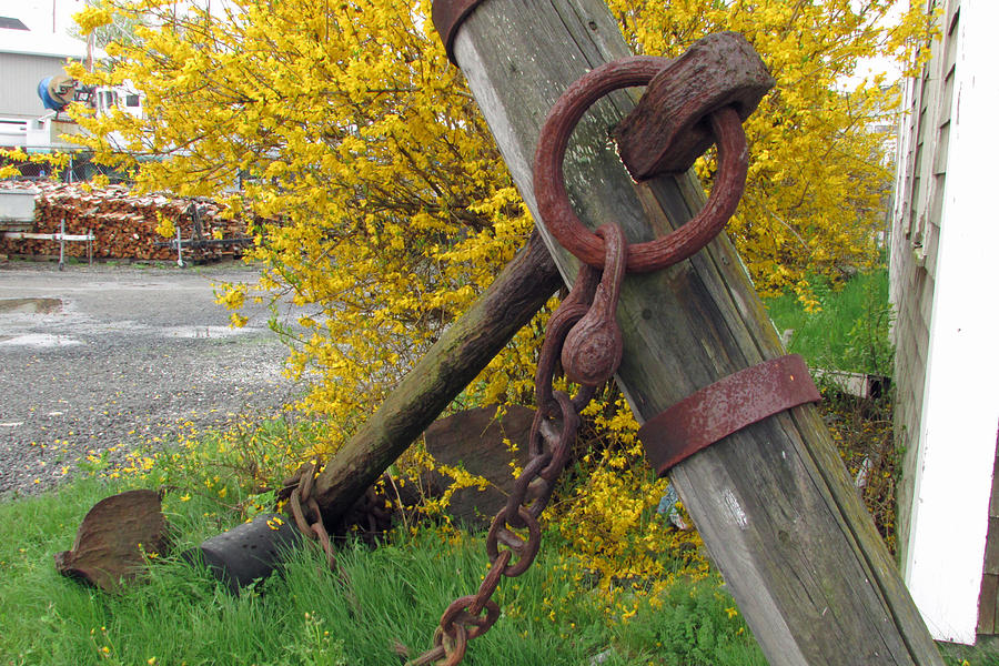 Rusted Anchor Photograph by Steve Breslow