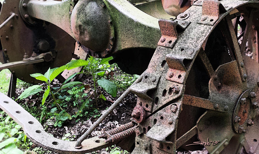 Rusted Axle Planter Photograph by Michael Spano