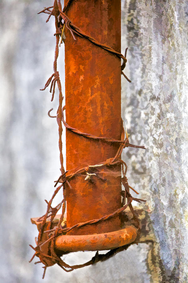 Rusted Barbed Wire  Photograph by David Letts