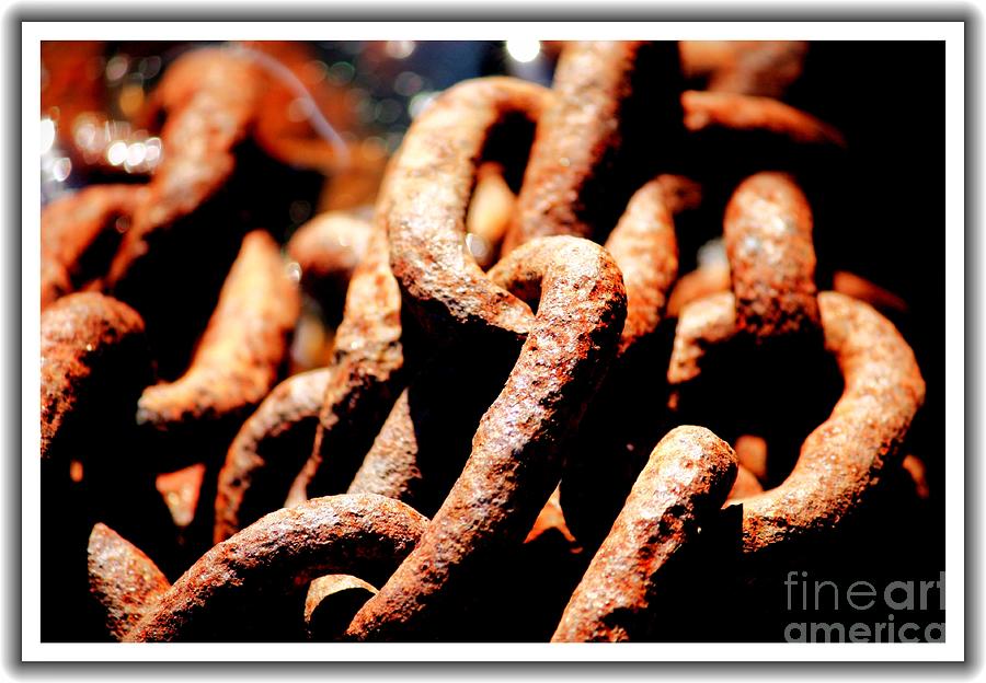 Rusted Boat Chain Photograph by Carol Groenen