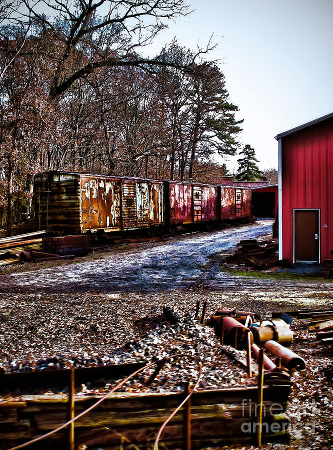Rusted Box Cars Photograph by Colleen Kammerer