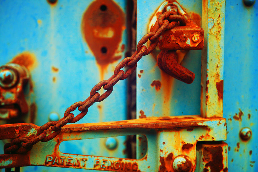 Rusted Chain Photograph by Toni Hopper