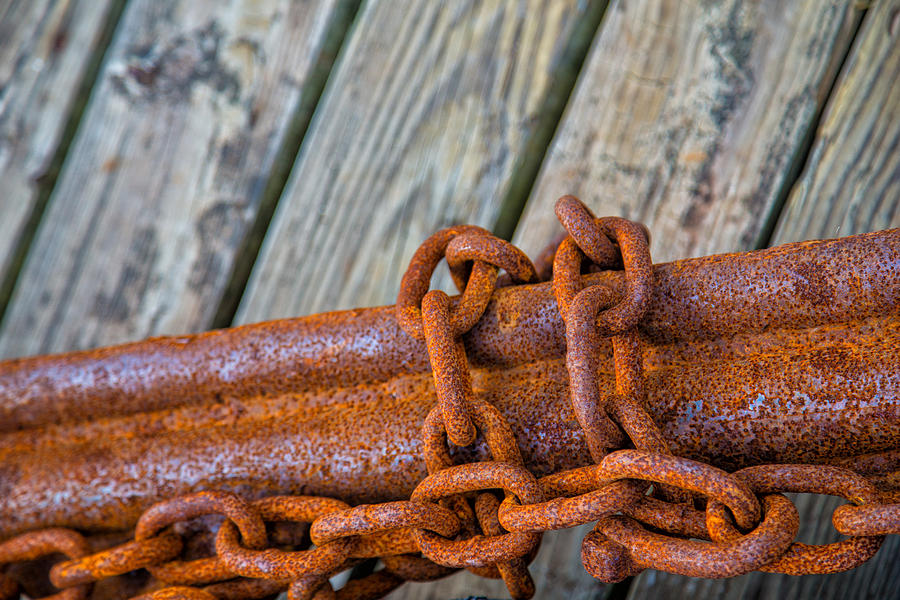 Rusted Chained Photograph by Karol Livote