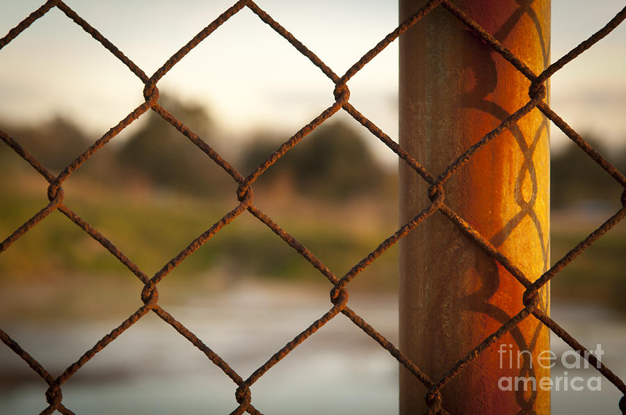 Background Photograph - Rusted Fence by THP Creative