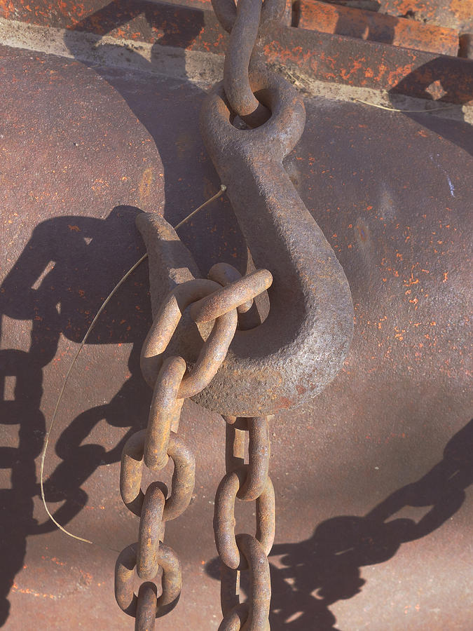 Rusted Hook and Chain Photograph by Ann Powell