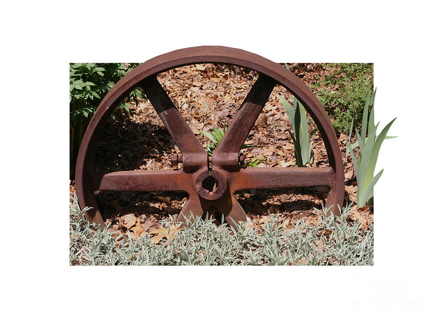 Rusted Vintage Metal Wheel Photograph by Smilin Eyes Treasures