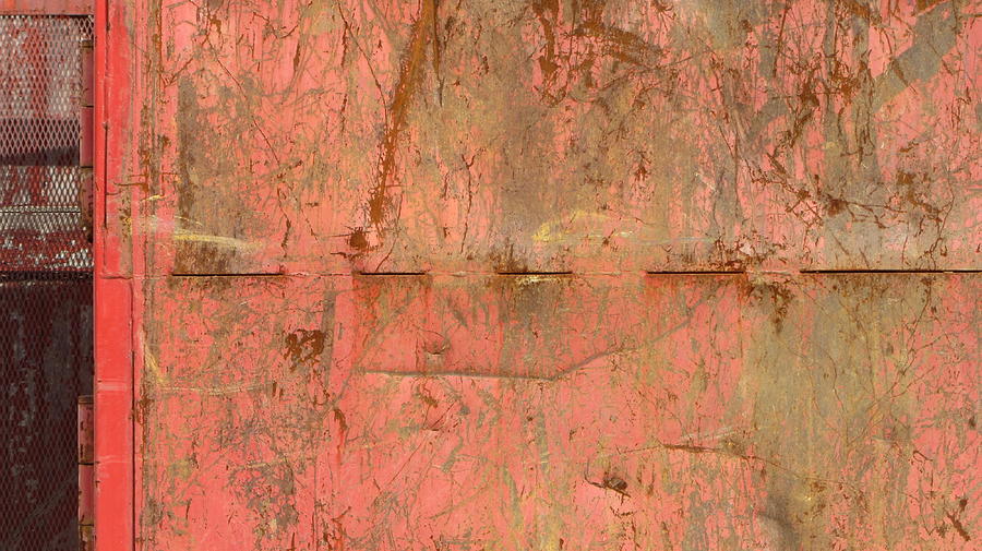 Rusted Pink Panel Photograph by Anita Burgermeister