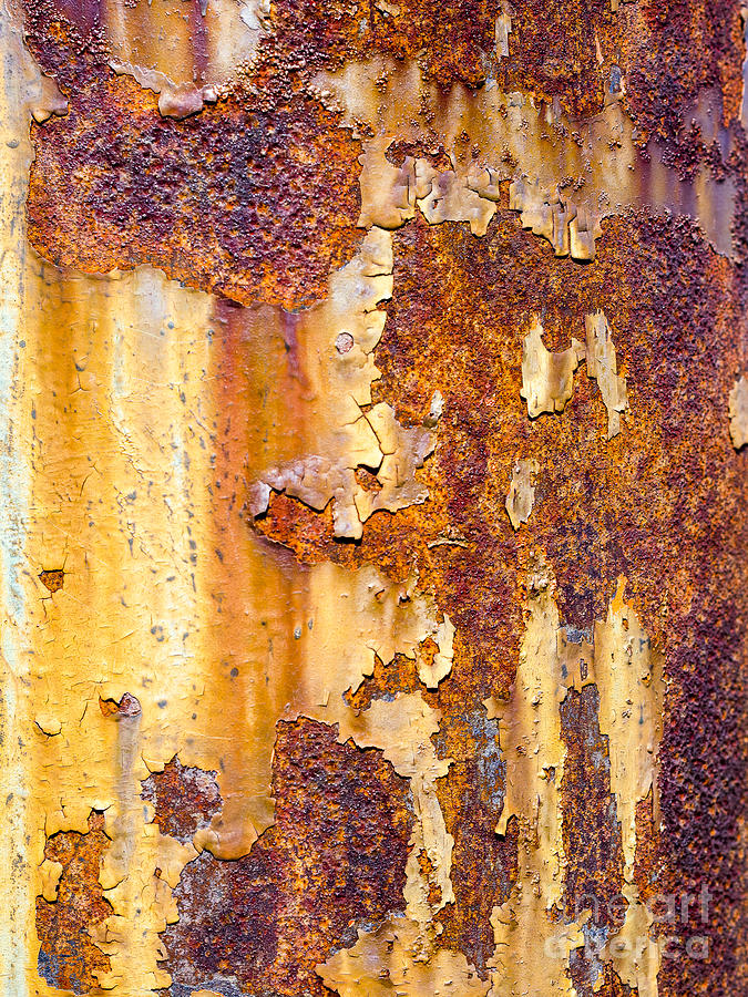 Rusted Pole Photograph by Steven Ralser